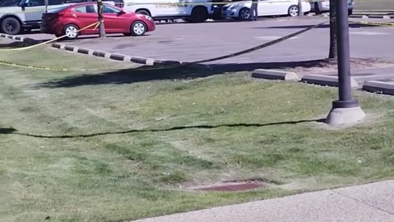Cancer survivor woman shot and killed by man at Shelby Farms Park