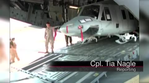 Okinawa Gets Some New Birds