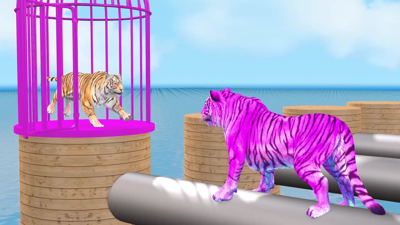 Cow Elephant Tiger Gorilla Hippo 3d Animal Long Slide Game Funny 3d Paint Animals Cage Game