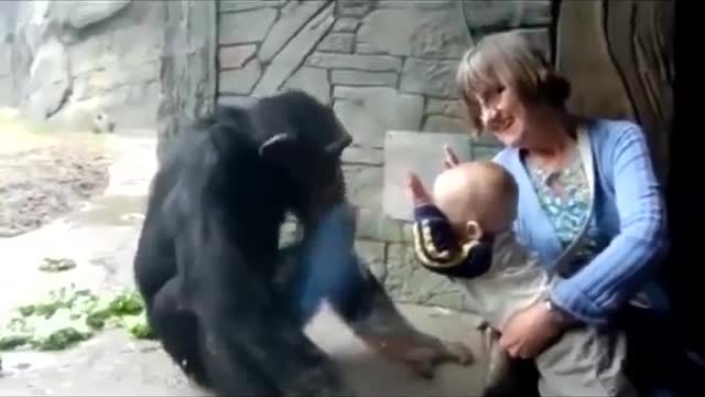 New Funny Baby Videos 2021 043