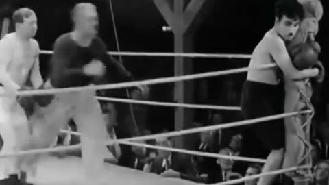 Funny Fight 🤣🤣