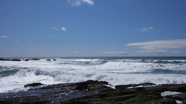 Point Arena Picnic View