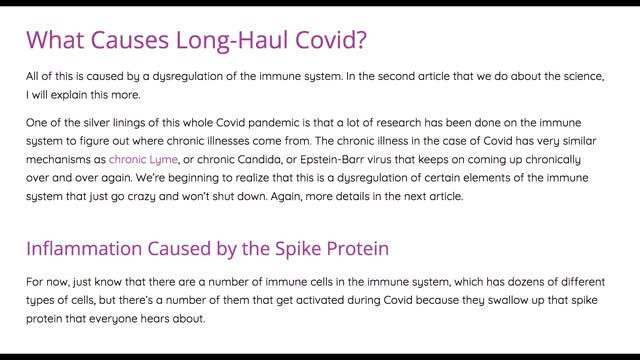 Inflammation in Longhaulers