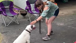 Happy Doggo Surprised by Personal Piñata