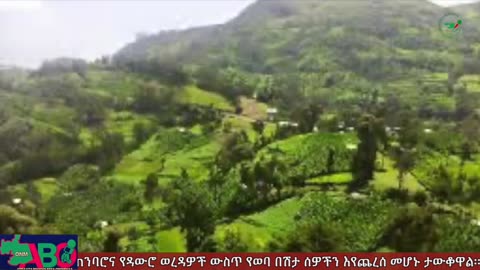 ጥቅምት 17፣ 2024 ONM-ABO እለታዊ የኦሮሞ ነፃነት ሰራዊትና የኦሮሚያ ውሎ!
