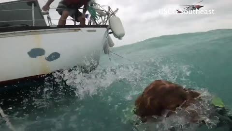 Coast Guard rescues man and dog during Hurricane Helene