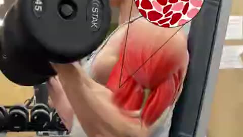 How to grow your biceps! :)