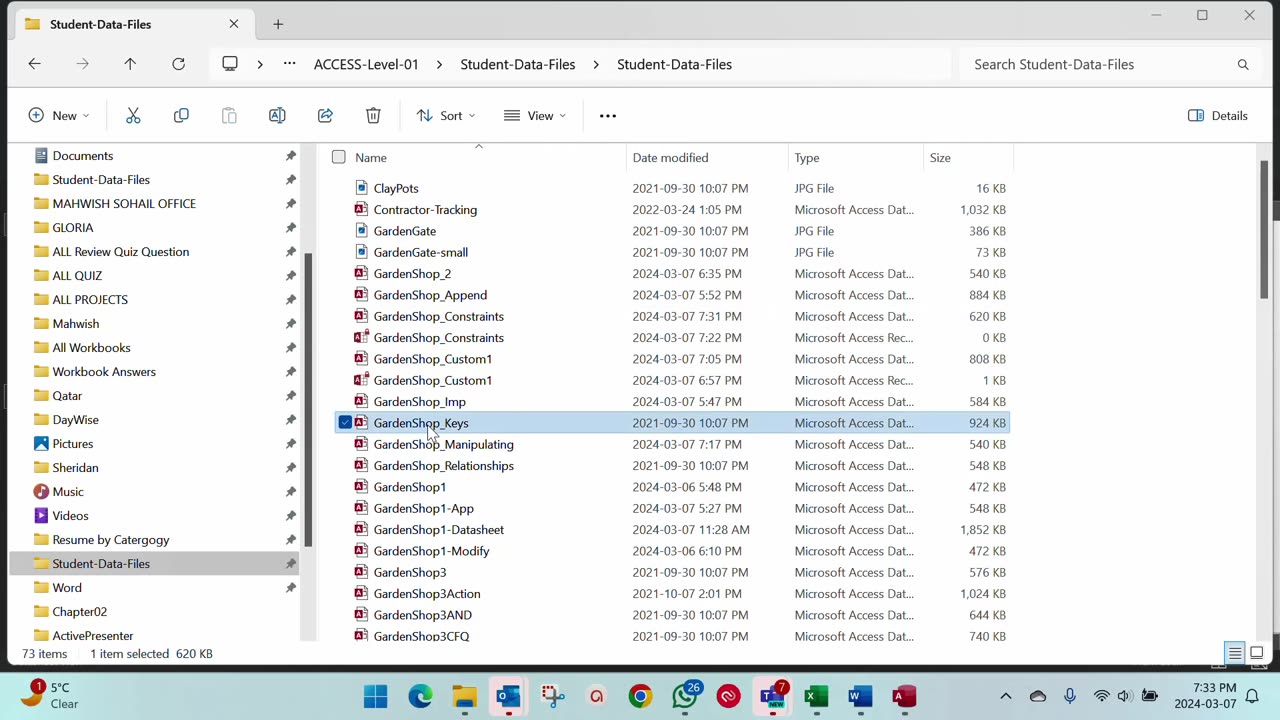 Access | Chapter 02 | Assessment 14