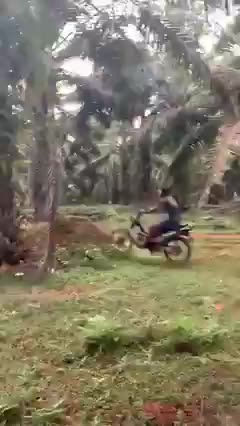 modified trail racing in the oil palm plantation