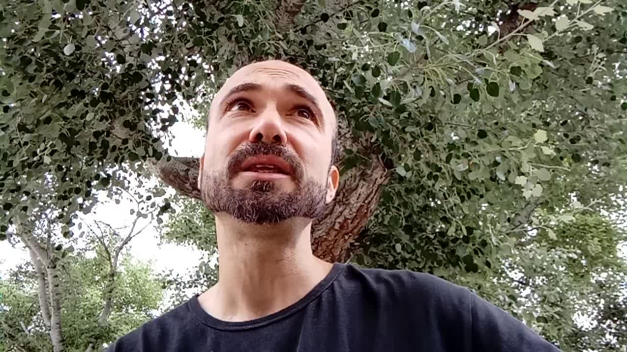 Situación actual