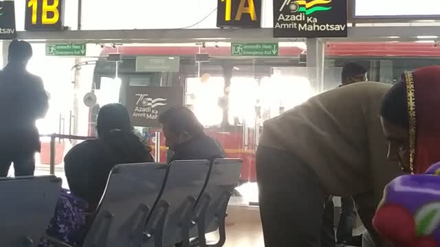 Waiting for the fly