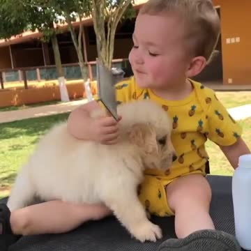 Baby and puppy besties love playing outside together #1789