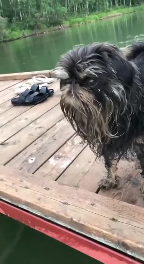 🤣 What would you name him?