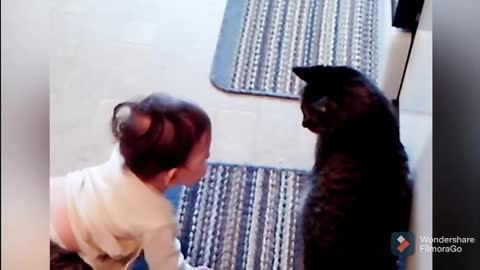 Baby playing with a cat