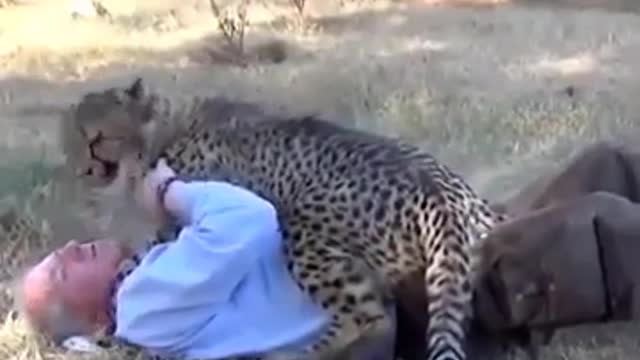 Funny animals. Best friends The short funny videos with animals#TIGER