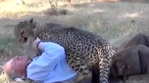 Funny animals. Best friends The short funny videos with animals#TIGER