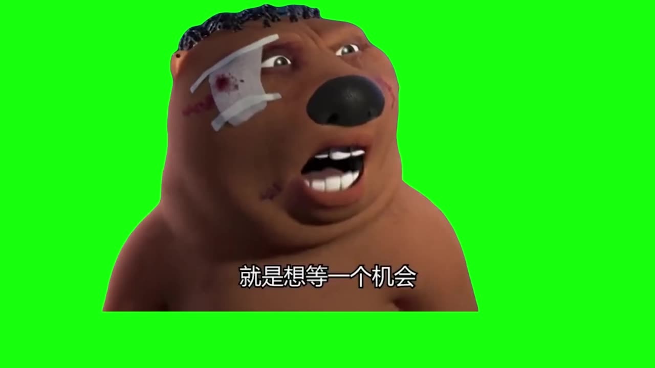 Chinese Beaver Meme | Green Screen