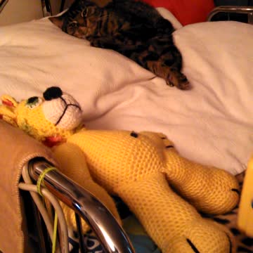 Tired Cat Tries To Ignore Playful Monkey That Pounces On Her