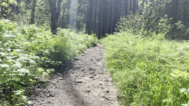 Crossing a Bridge to the Final Climb to Dry Creek Falls – Columbia River Gorge – Oregon – 4K