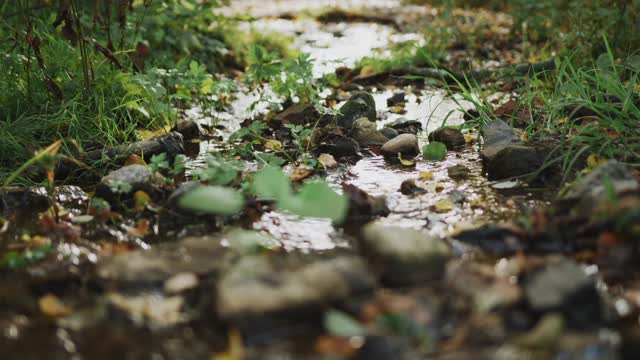 Some Explorers Crossing a Stream