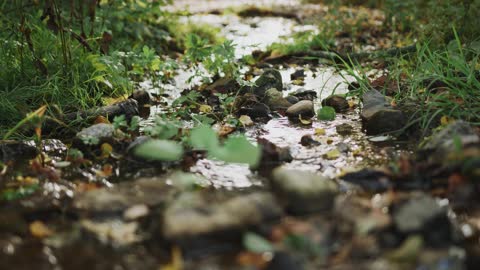 Some Explorers Crossing a Stream