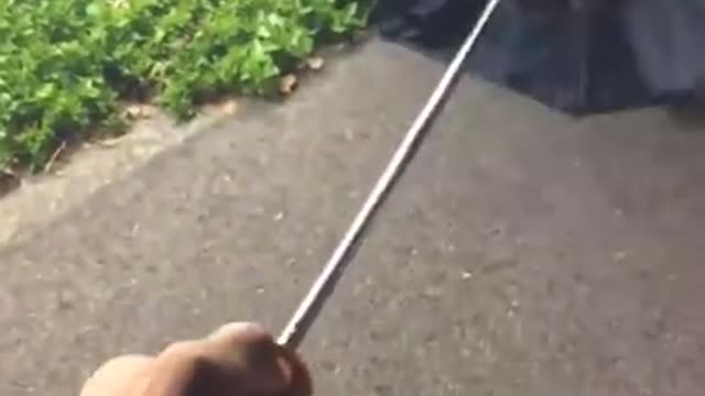 Umbrella fail please subscribe me