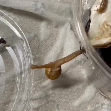 Mission impossible frightening scene 🤣