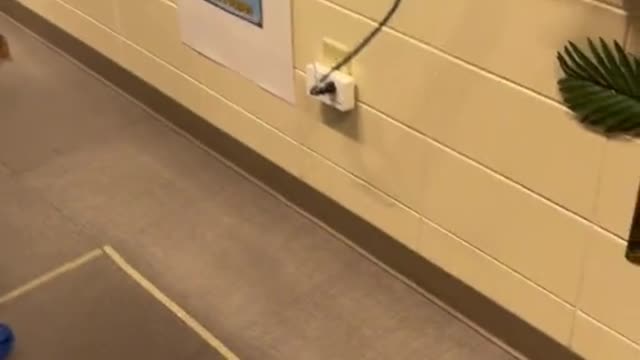😂😂😂