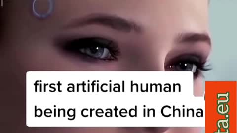 Why Does China's First Human Robot Resemble Dallas Women