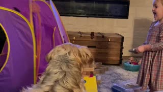 Kids: Huff & puff to blow the home down