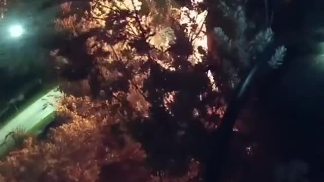 Texas police rescue unconscious man from burning car