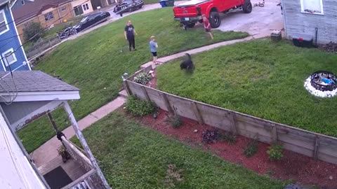 Dog Charges at Cop and gets Shot 😢🚔🐕🐶