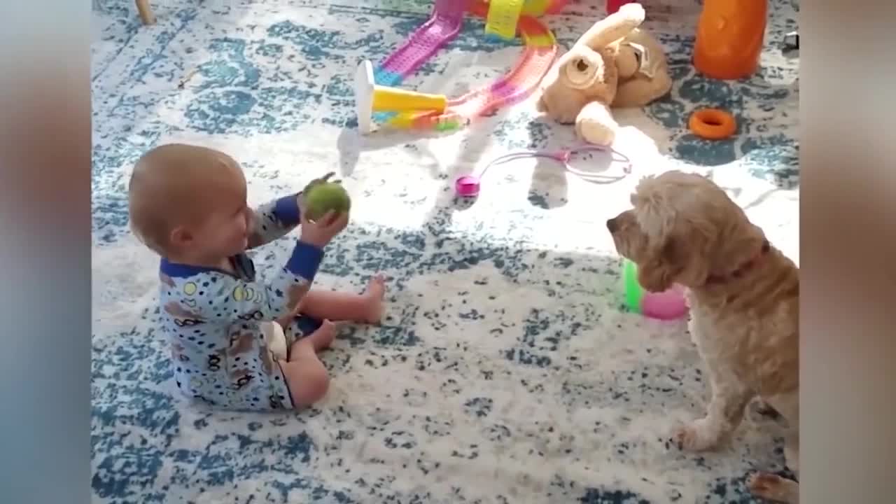 baby playing with dog