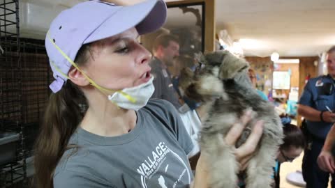 Rescued Puppy Mill Dogs Get a Second Chance