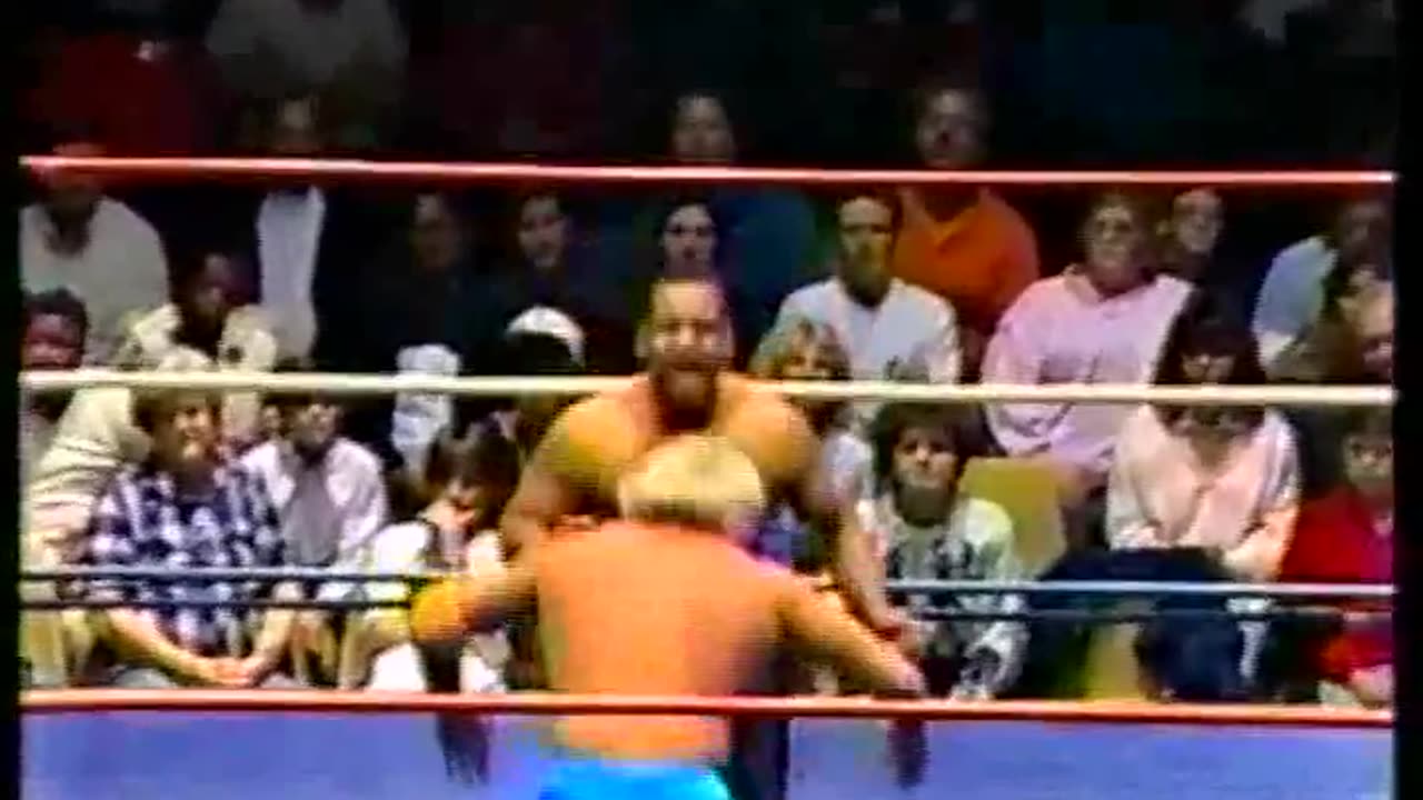 NWA Pro Wrestling Jan 28 1989