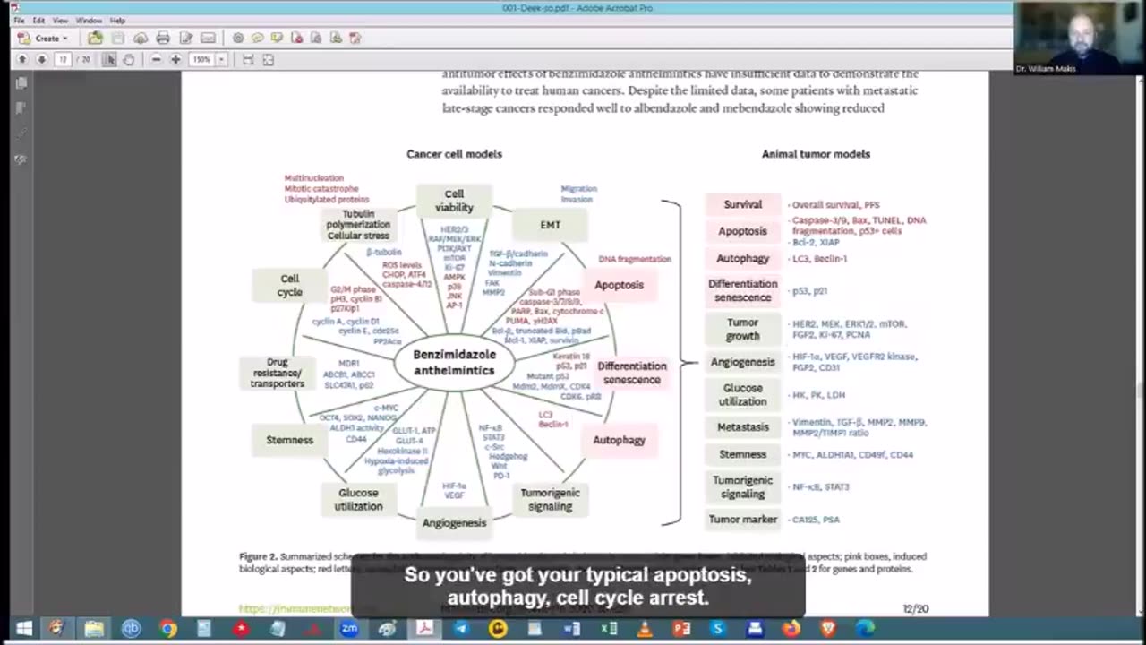 FENBENDAZOLE and CANCER - Dr. William Makis, Joe Tippins