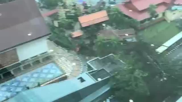 Hundreds of vehicles had to turn back because a tree fell on the road