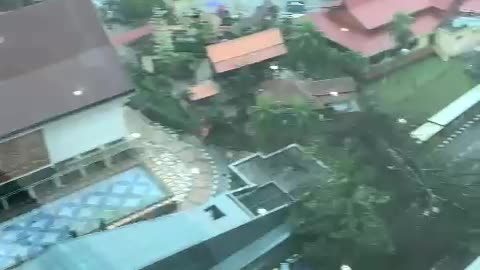 Hundreds of vehicles had to turn back because a tree fell on the road