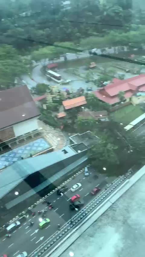 Hundreds of vehicles had to turn back because a tree fell on the road