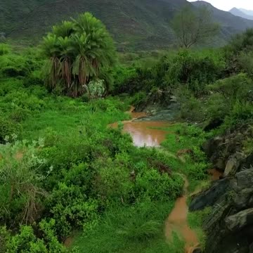 Take this wonderful voice and feel unparalleled psychological comfort