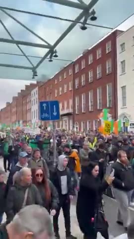 Protest in Dublin against mass immigration