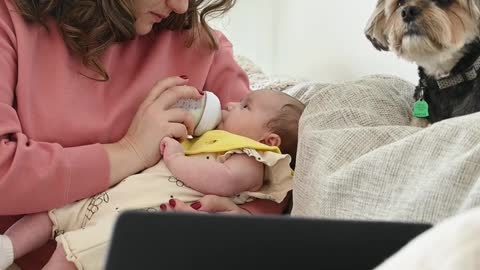 Baby feeding with doggy