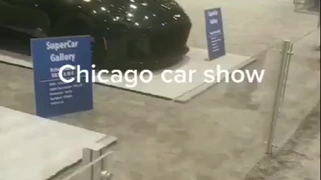 Chicago Car Show