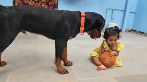 Cute baby playing with dogs