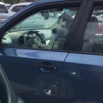 Well he figured it was easier then yelling the entire time