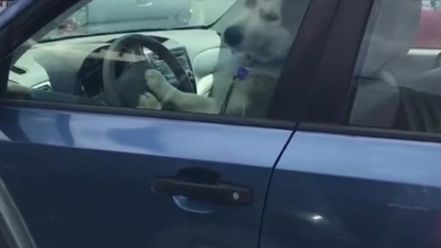 Well he figured it was easier then yelling the entire time