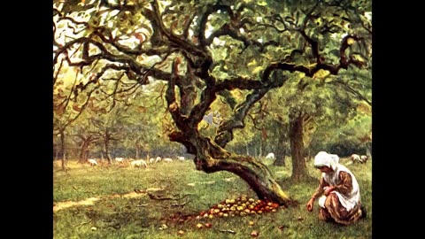 Prof 24 John Zandstra on Apple Rootstocks
