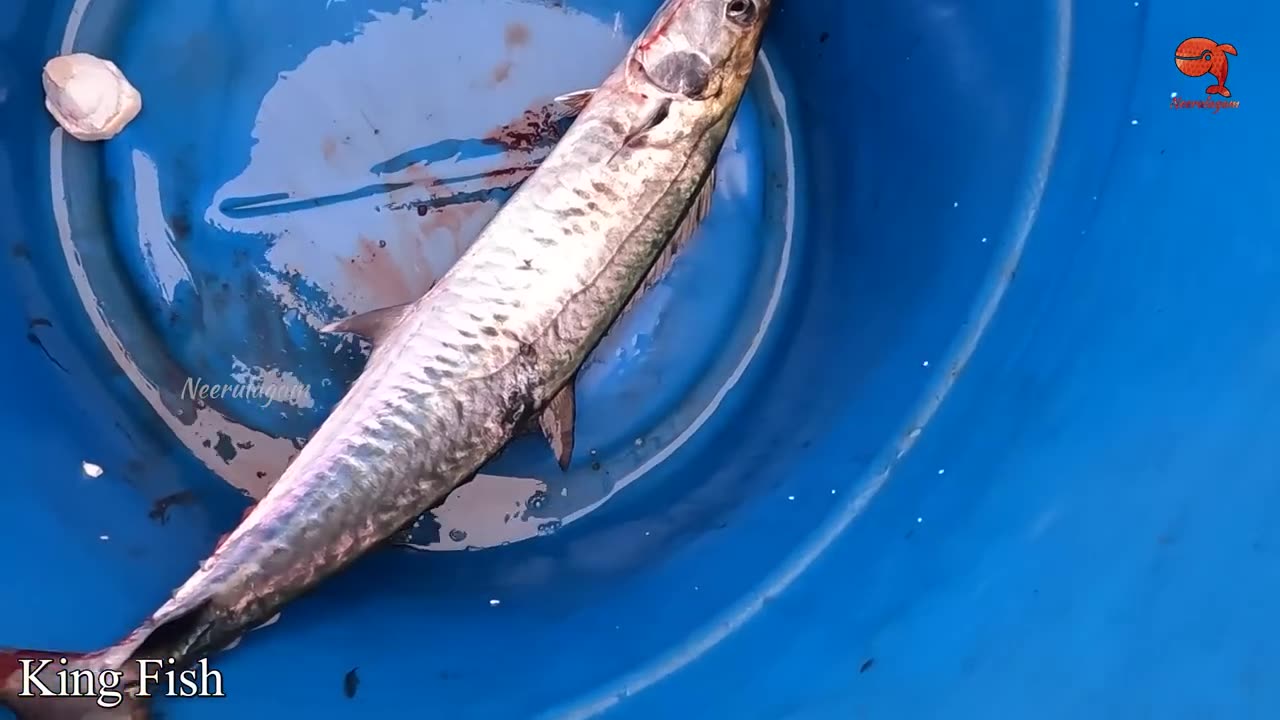 Catching fish from deep Sea