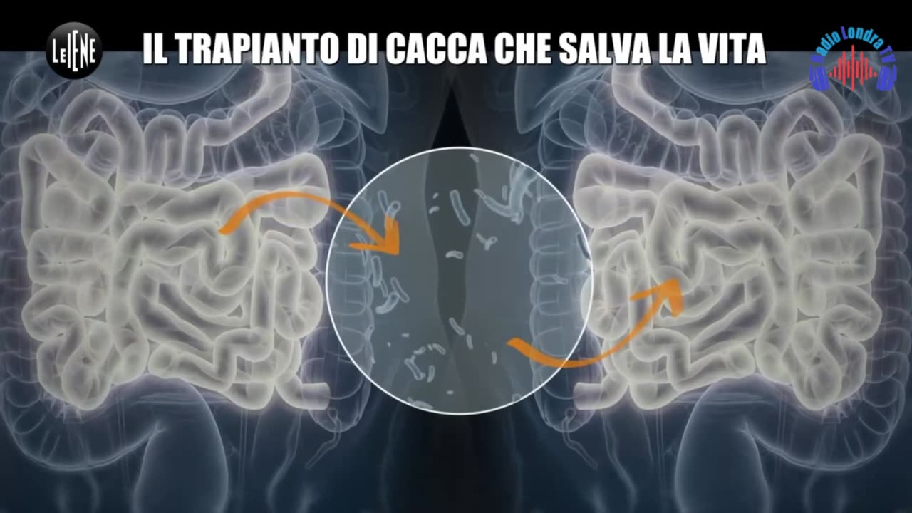 guarire con la microbiotica