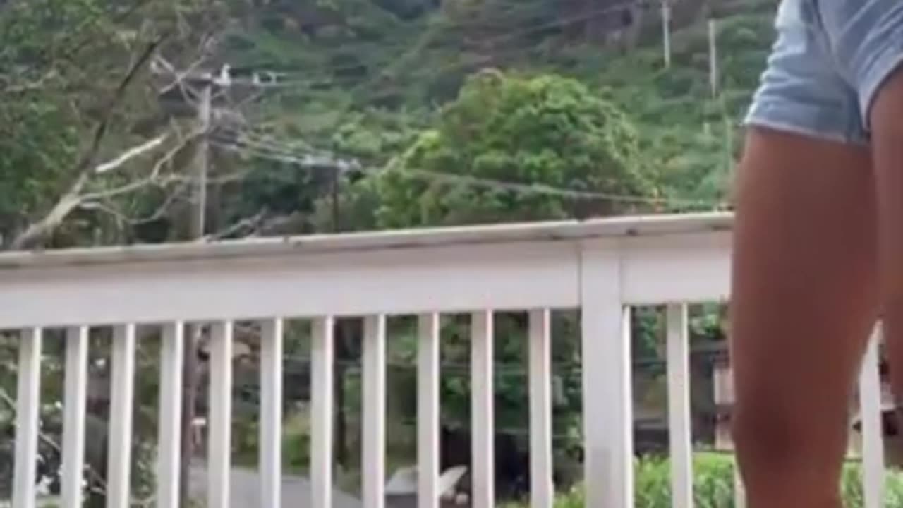 The end 😂 viral funny fails😁 humor🤣 videos